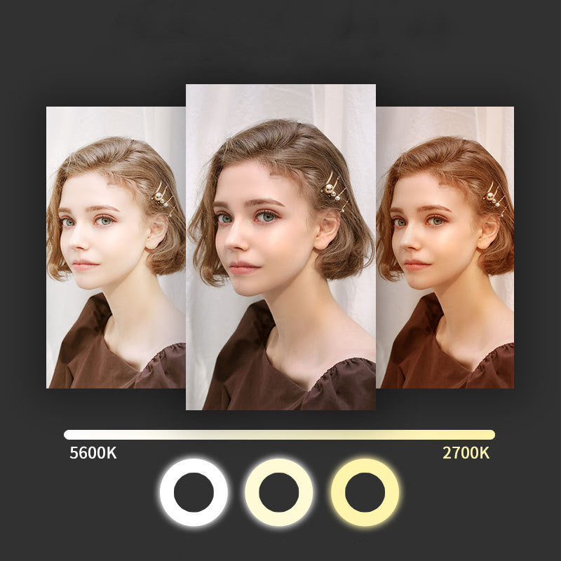 18-inch Collapsible Streaming Stand Light